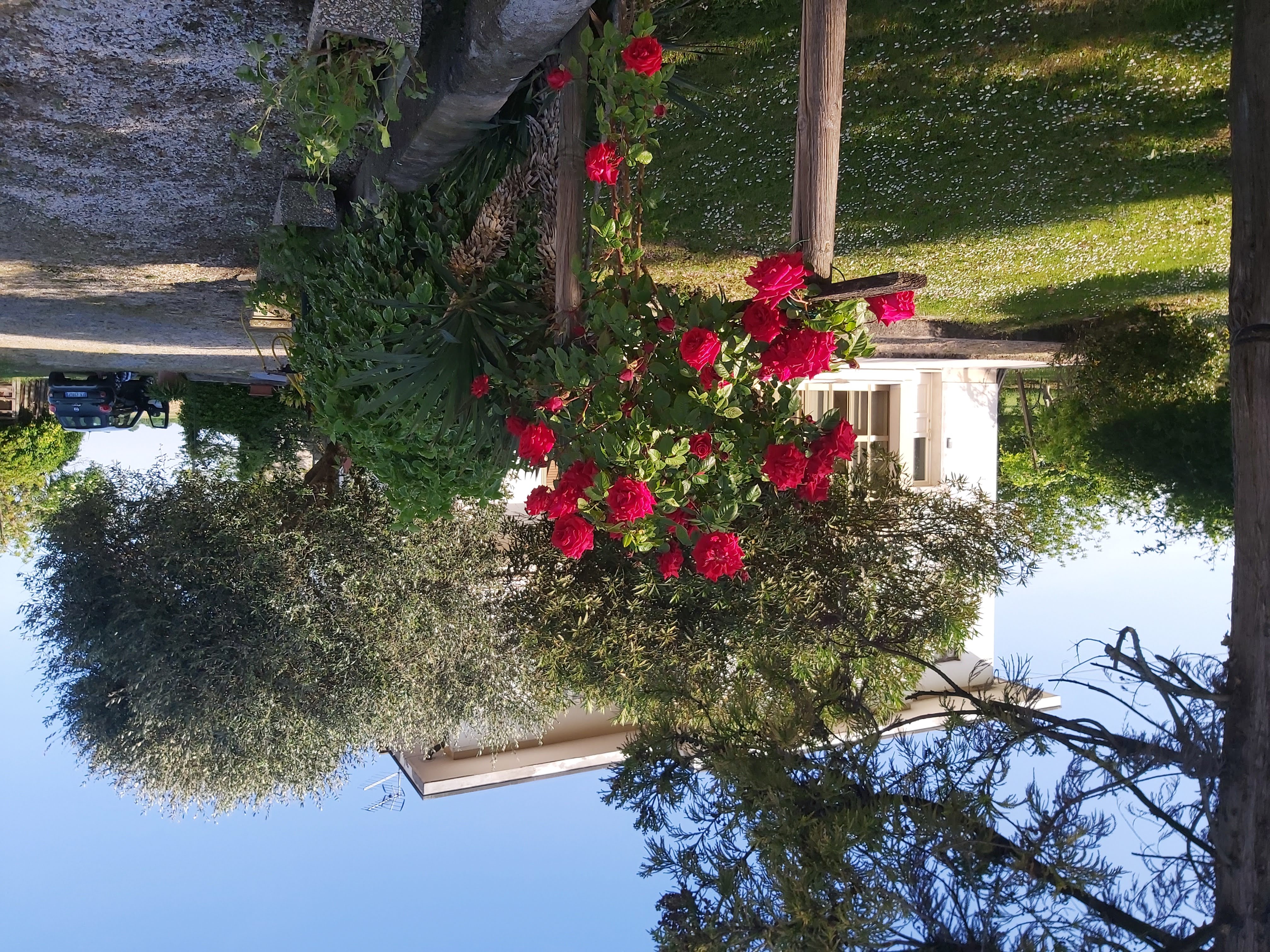 La Celeste — giardino