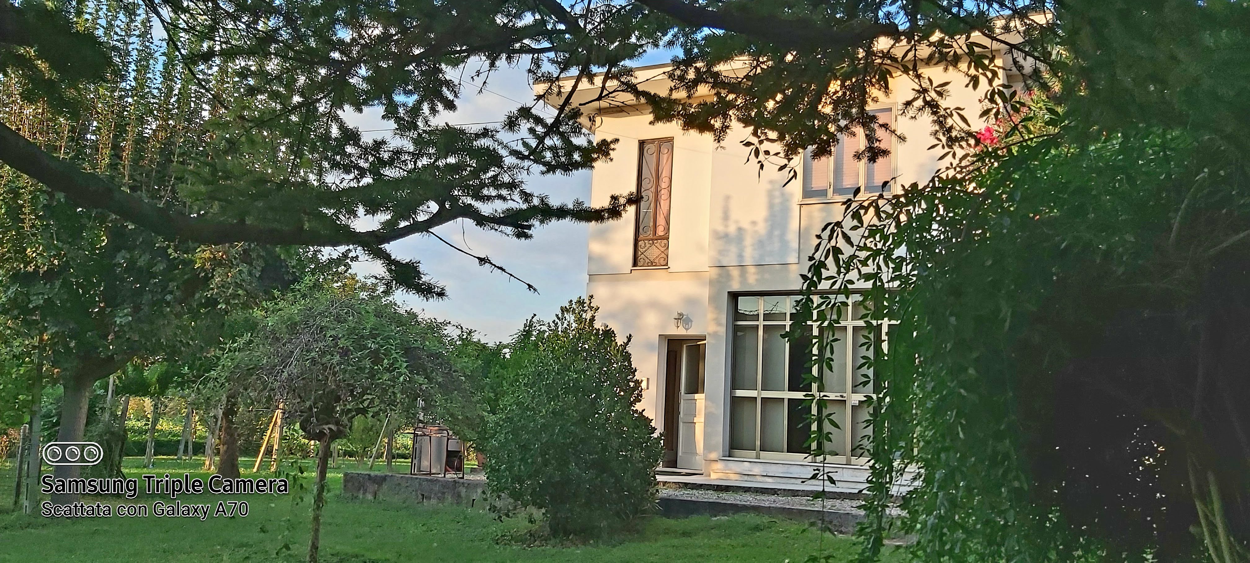 La Celeste — giardino