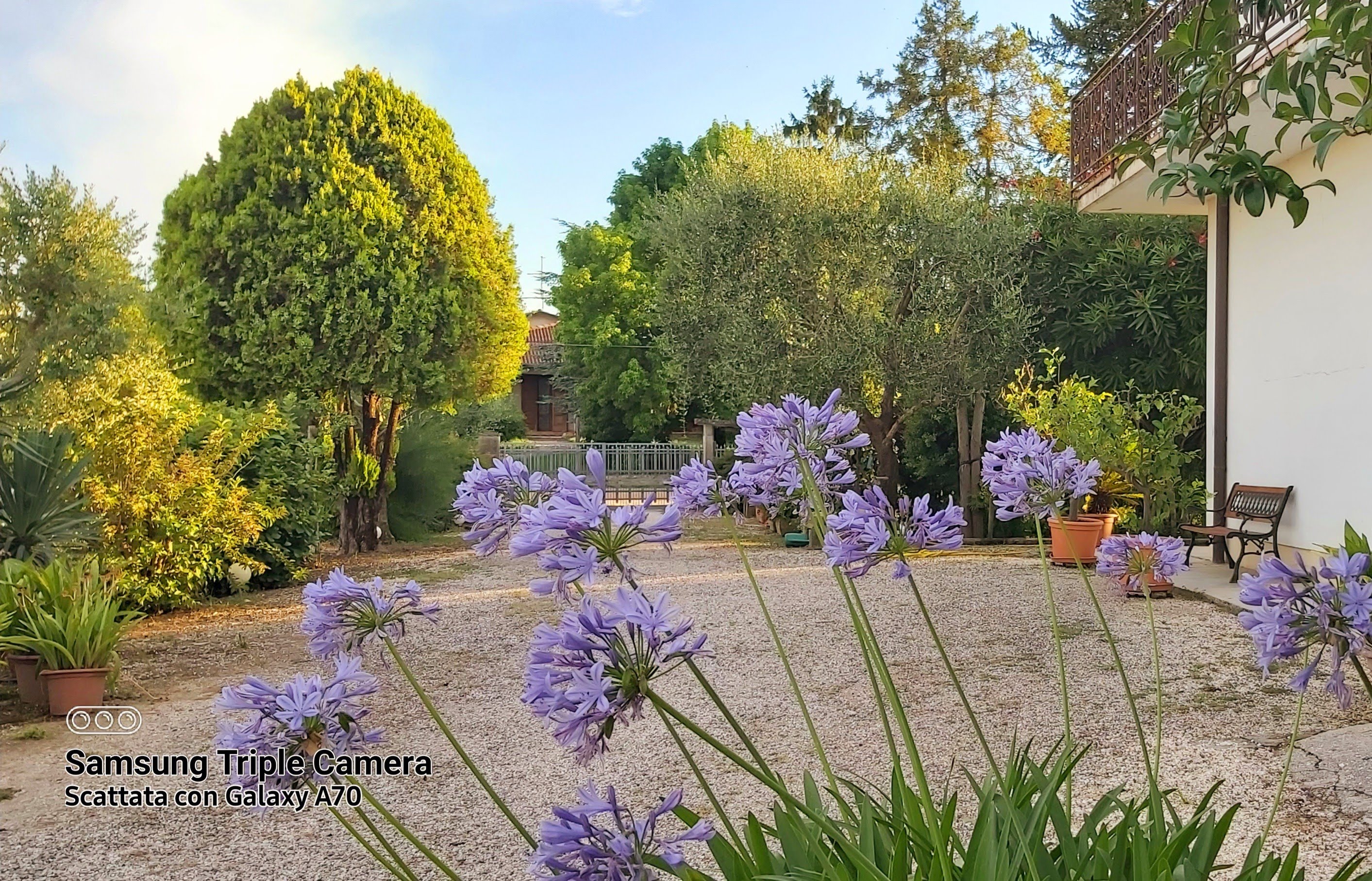 La Celeste — giardino