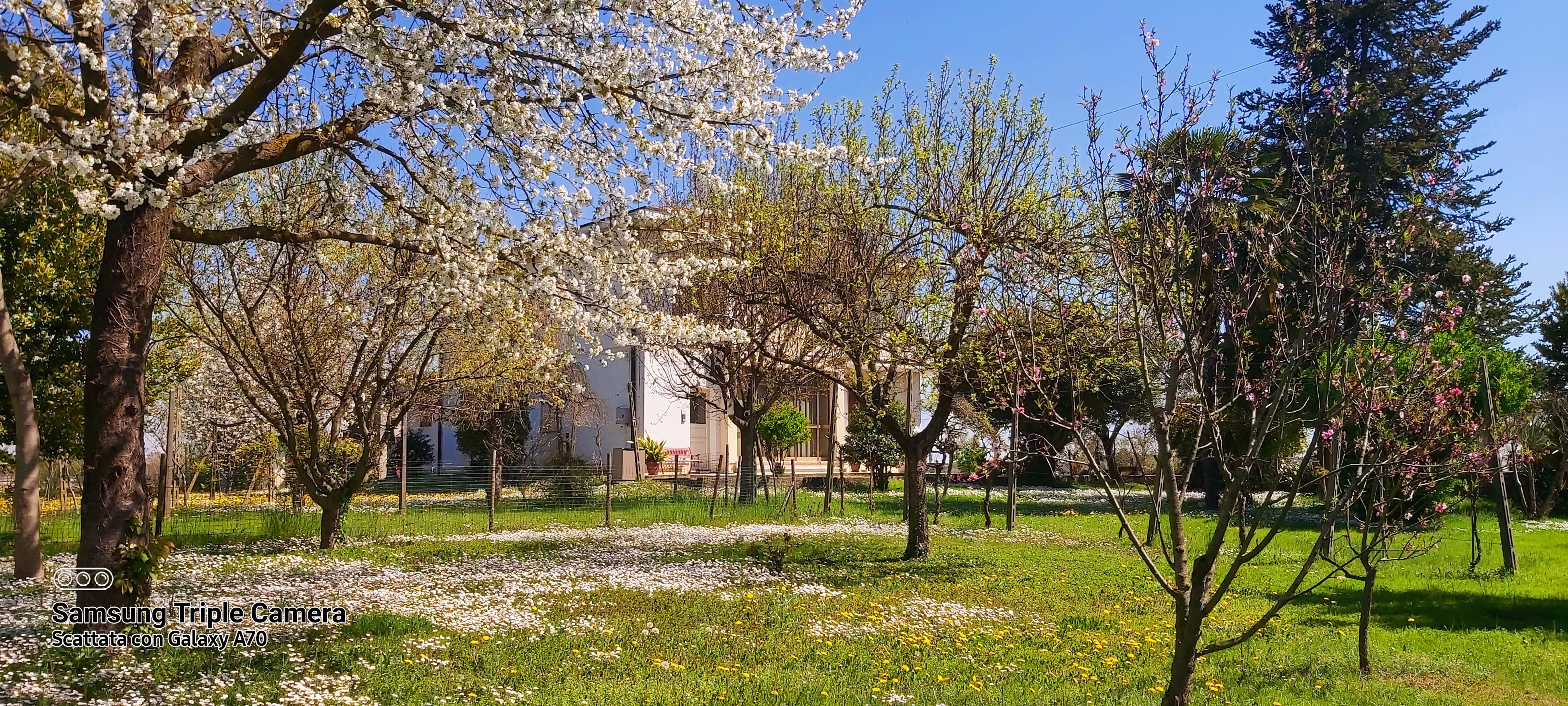 La Celeste — giardino