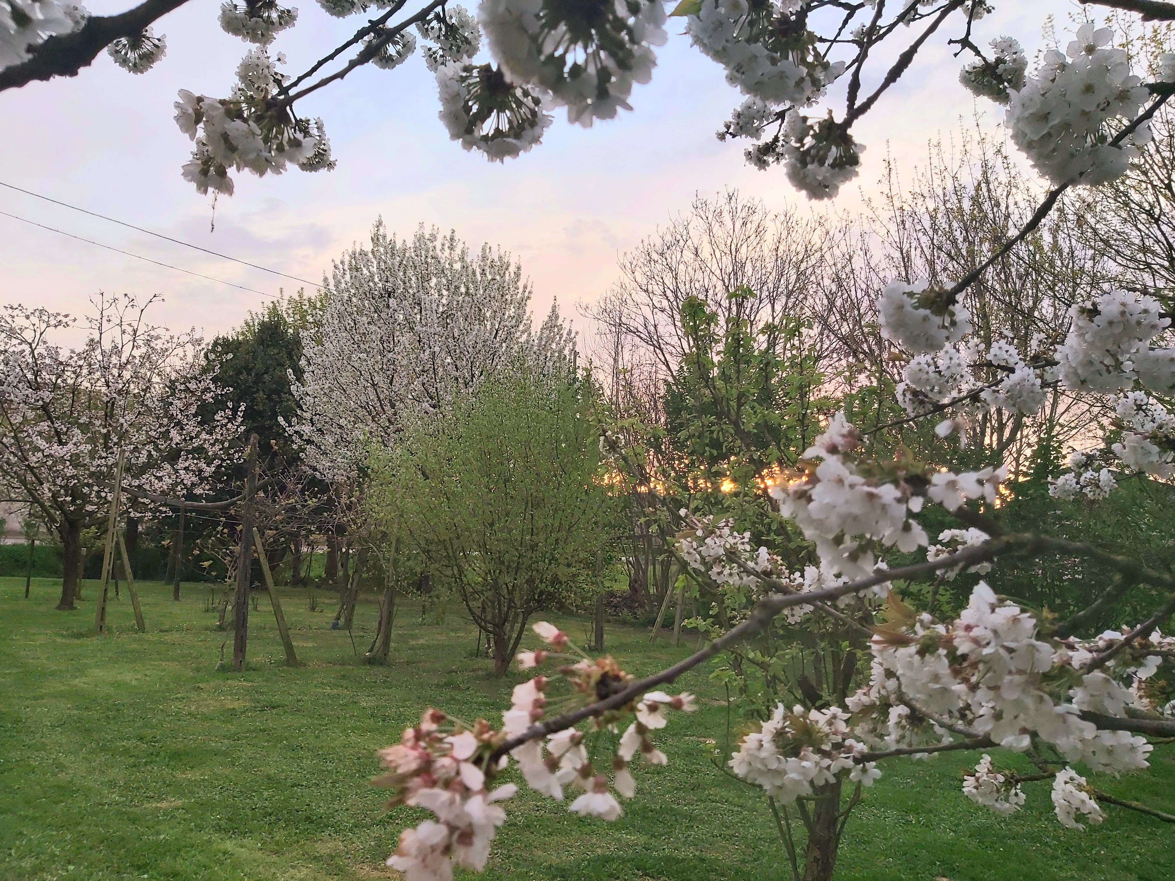 La Celeste — giardino