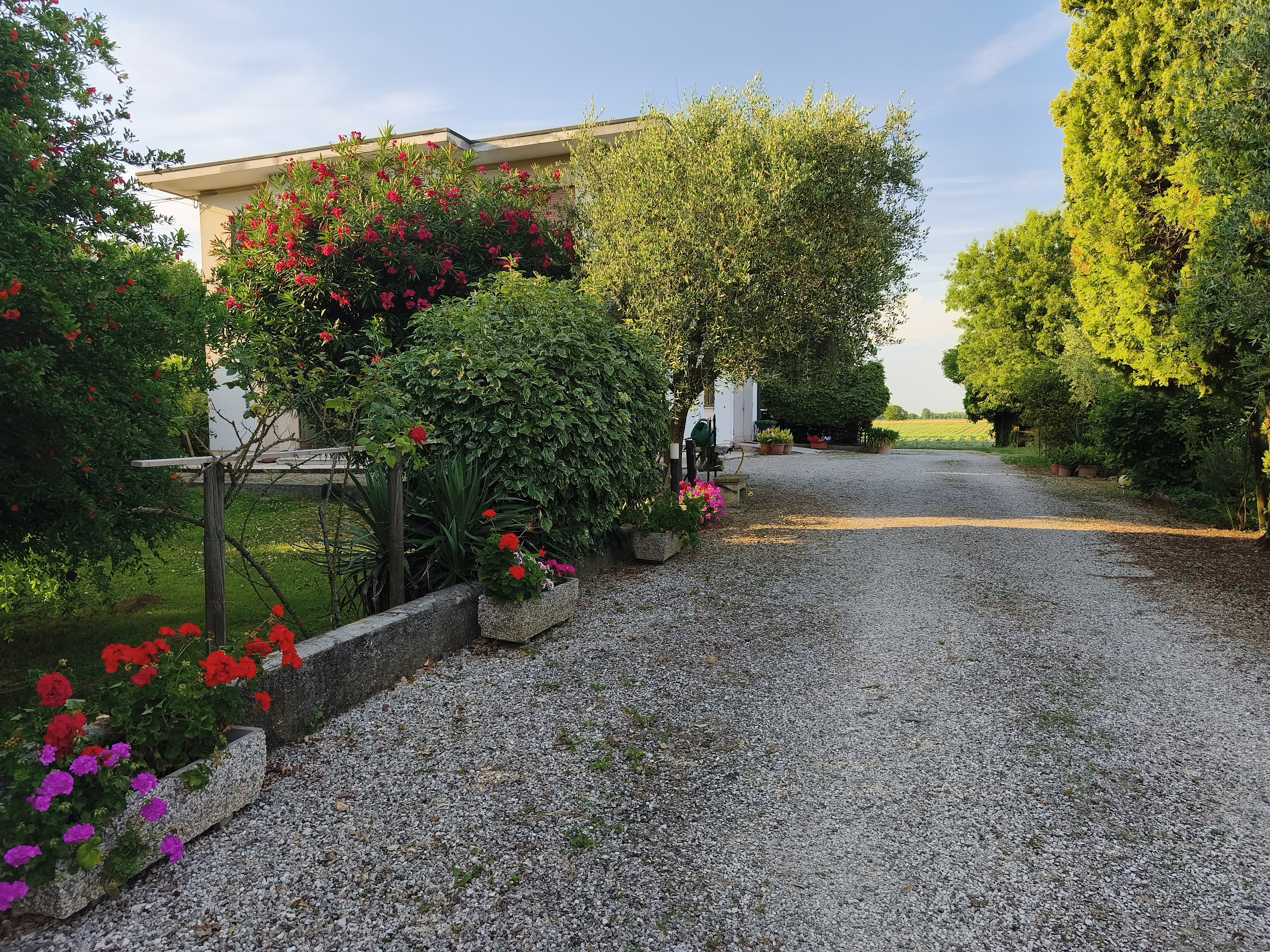 La Celeste — giardino