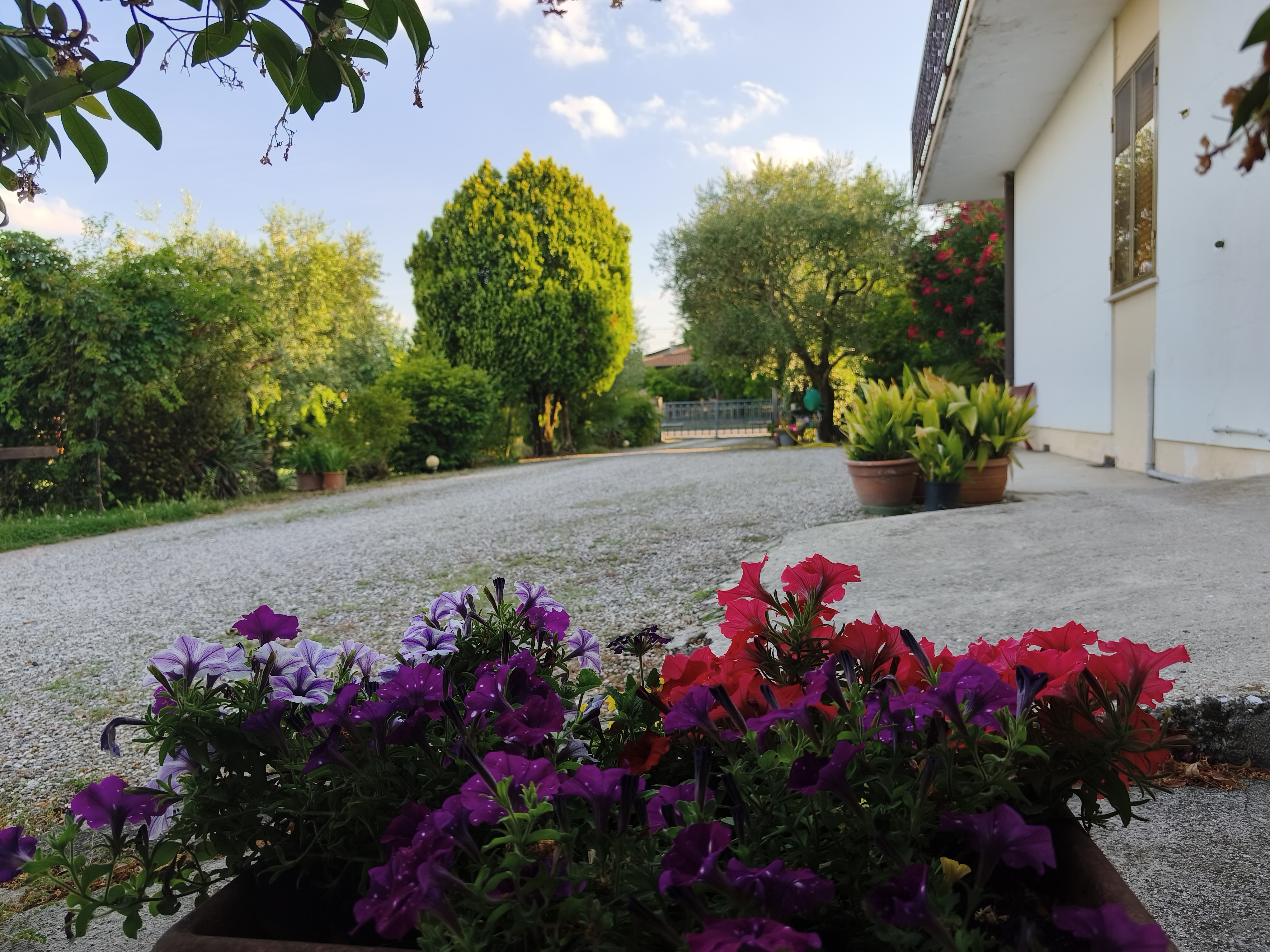 La Celeste — giardino