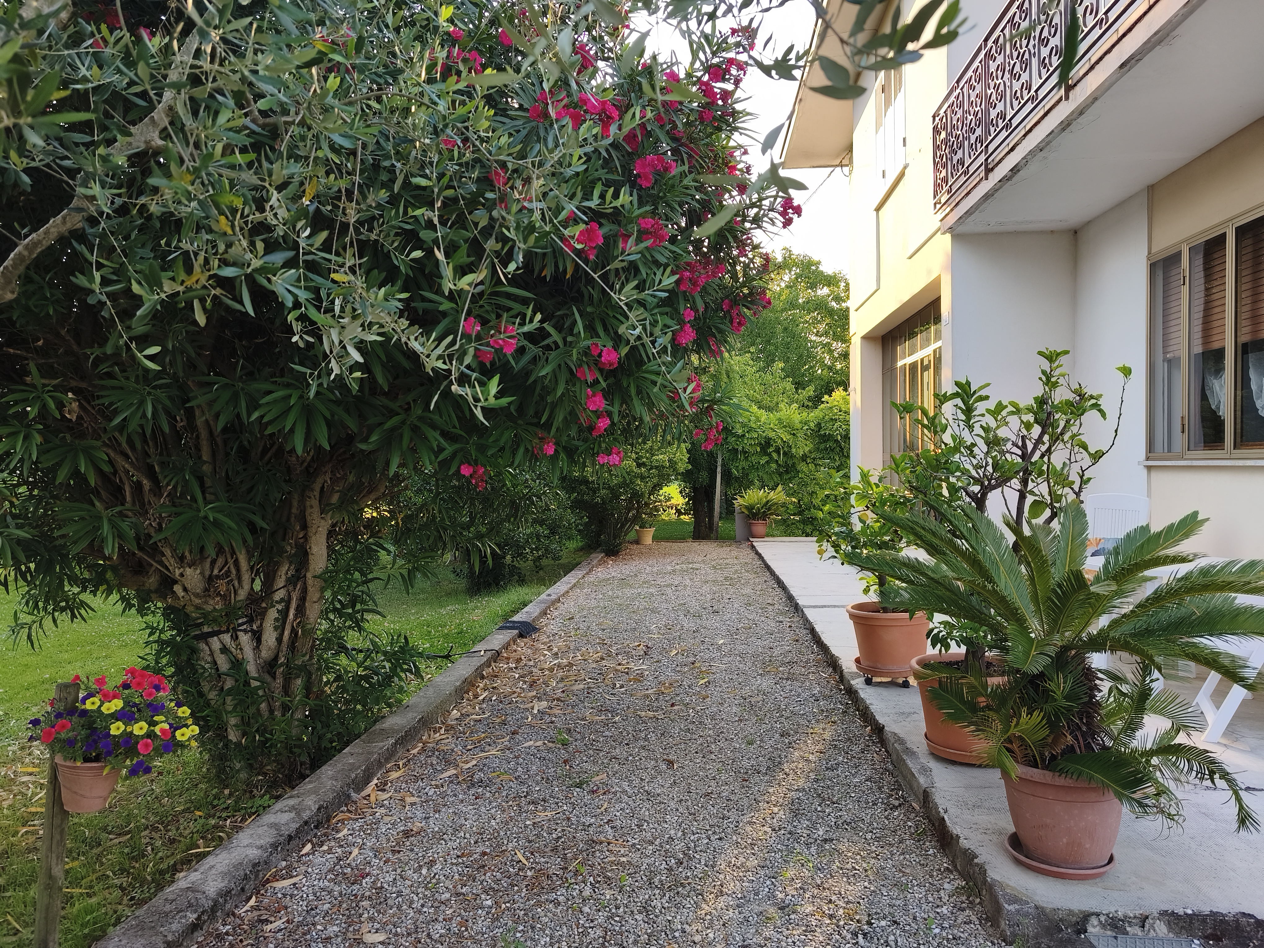 La Celeste — giardino