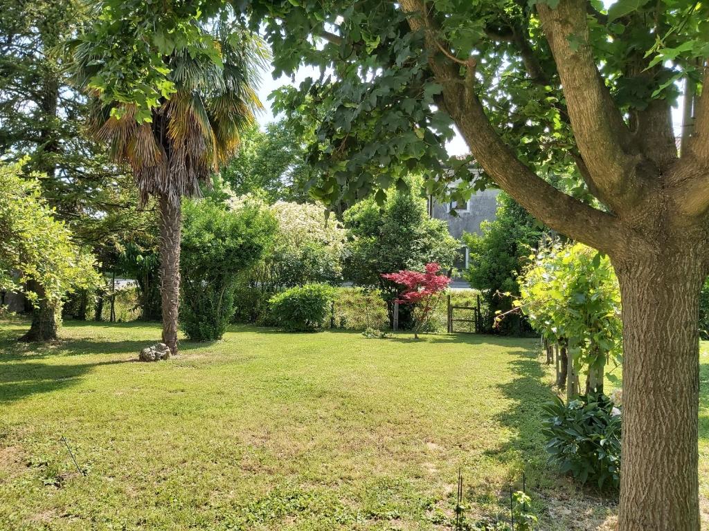 La Celeste — giardino